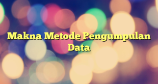 Makna Metode Pengumpulan Data