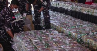 Penghancuran Narkoba 2 Ton di Batam Bertransformasi Menjadi Perayaan Massal: Kehadiran Artis dan Hadiah Mengundang Ribuan Orang